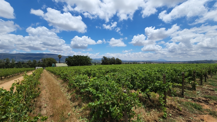 Commercial Property for Sale in Paarl Rural Western Cape